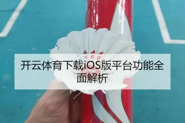 开云体育下载iOS版平台功能全面解析